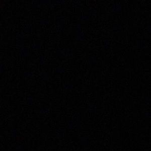 Meet your Posher, Cleonice